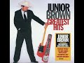 Ain't Gonna Work Today by Junior Brown
