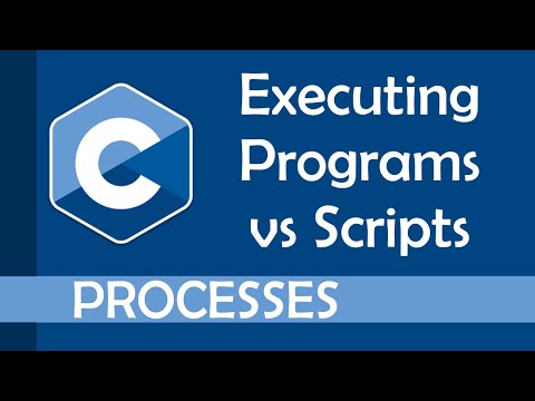 Executing Programs Vs Executing Scripts In C