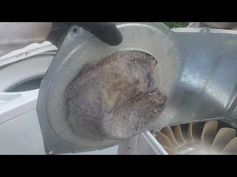 This issue could be why your dryer takes multiple loads to dry clothes, and here's how to fix