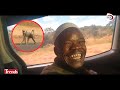 DA UTACHEKA SANA VITUKO VYA HARMORAPA NA MKALI WENU KWA NYANI HAWA