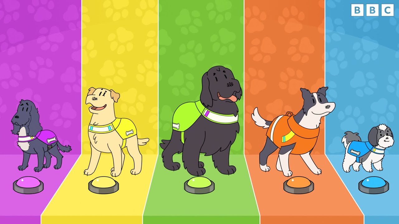 Meet the Dog Squad 🐾 | CBeebies
