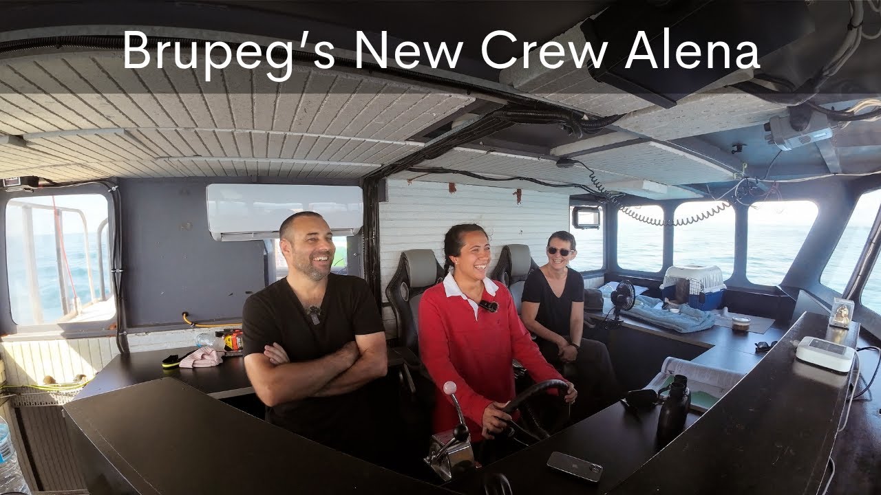 Brupeg's New Crew Alena - Project Brupeg Ep.409