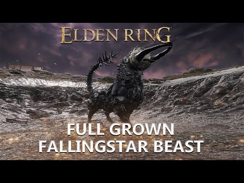 How to Beat Full-Grown Fallingstar Beast (Mt. Gelmir) With Gamaniax || Elden Ring