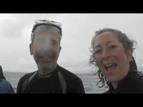 tahiti scuba diving with sharks