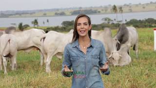 Miniatura do vídeo