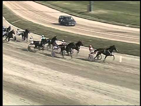 Trotto 12/10/2014 - 1°corsa