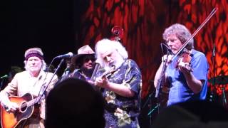 Dear Jerry, David Grisman "Shady Grove" Merriweather Post Pavilion,  05.14.15