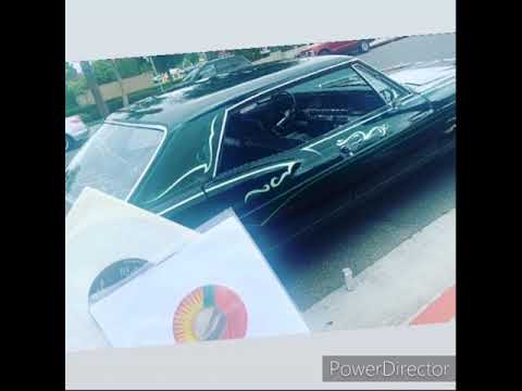 the funky drive band - panama city show