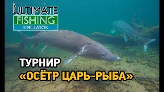 Ultimate fishing simulator ловля осетра