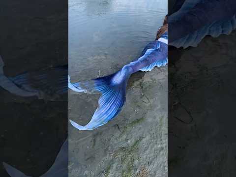 Found a mermaid at the beach! 😱 #realmermaid #mermaid #imadethis