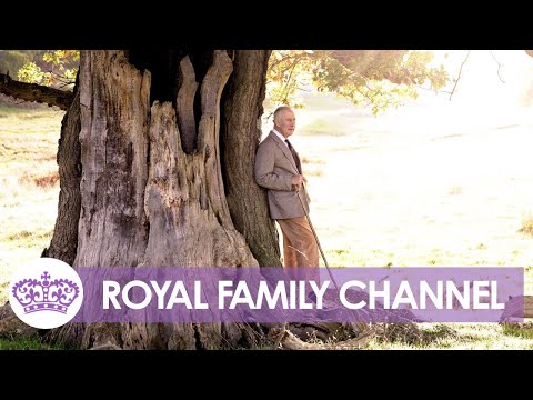 King Charles Marks First Birthday as Monarch