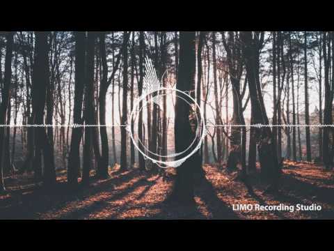 Just Wanna Run (Ahlstrom Remix) -  Sebastian Forslund feat. Dinah Smith, Niklas Ahlström [1 HV]