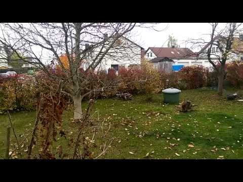 Wetter Munderkingen 26.10.2015