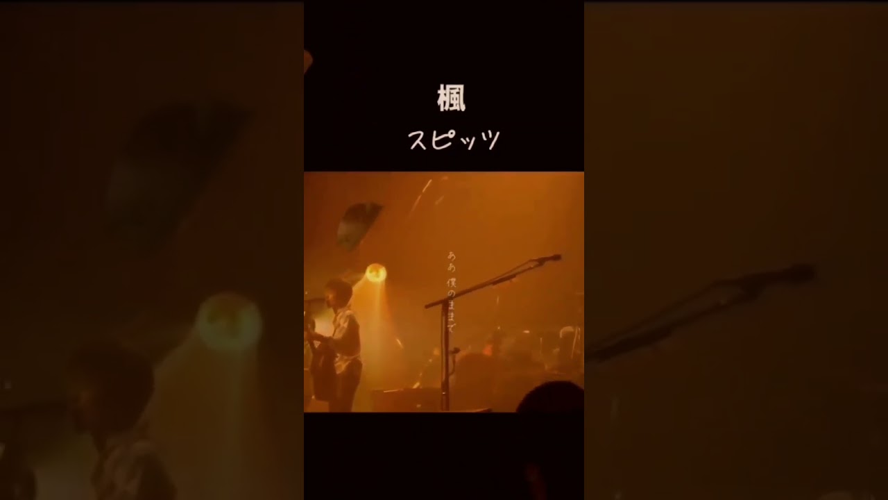 きみの声を忘れない ♯スピッツ ♯楓🍁 ♯いつもほんっとうにありがとうございます🙇♯少しずつ復活しようと思います