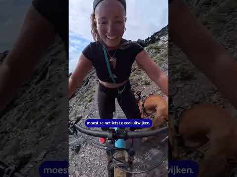 Hond filmt bijna-fatale val Spaanse influencer