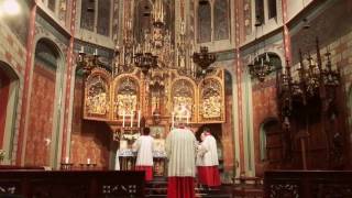 Latin Mass - SSPX Utrecht - Netherlands