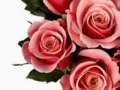 Mother I Miss You - JOHN TESH 