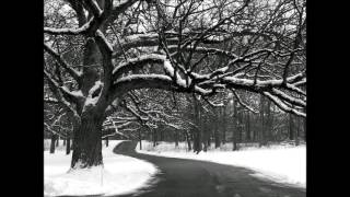 1000 Funerals - Night's Dew (Shape of Despair cover)