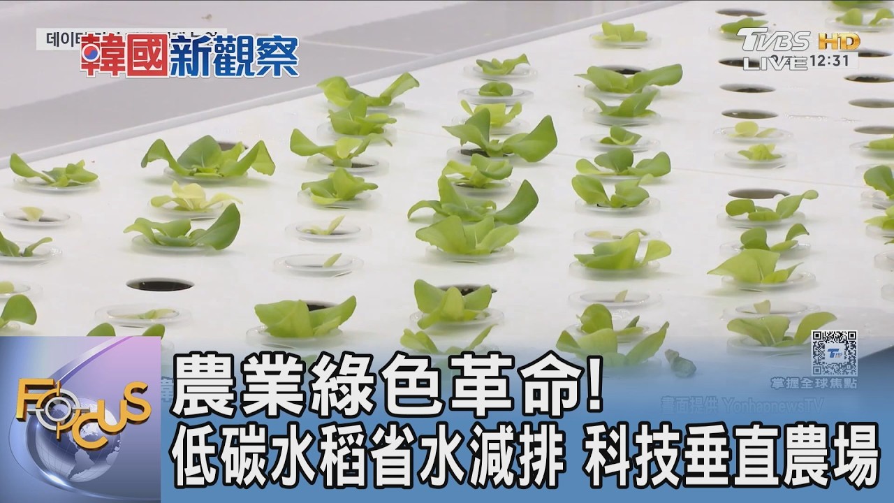 農業綠色革命!低碳水稻省水減排 科技垂直農場