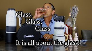 Glass, glass, glass, all about the glass! Swallowtails and other gems - Canon R8, Pine Mountain Club