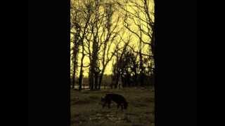 Kyuss - Gardenia /HD/ (((d[-_-]b)))
