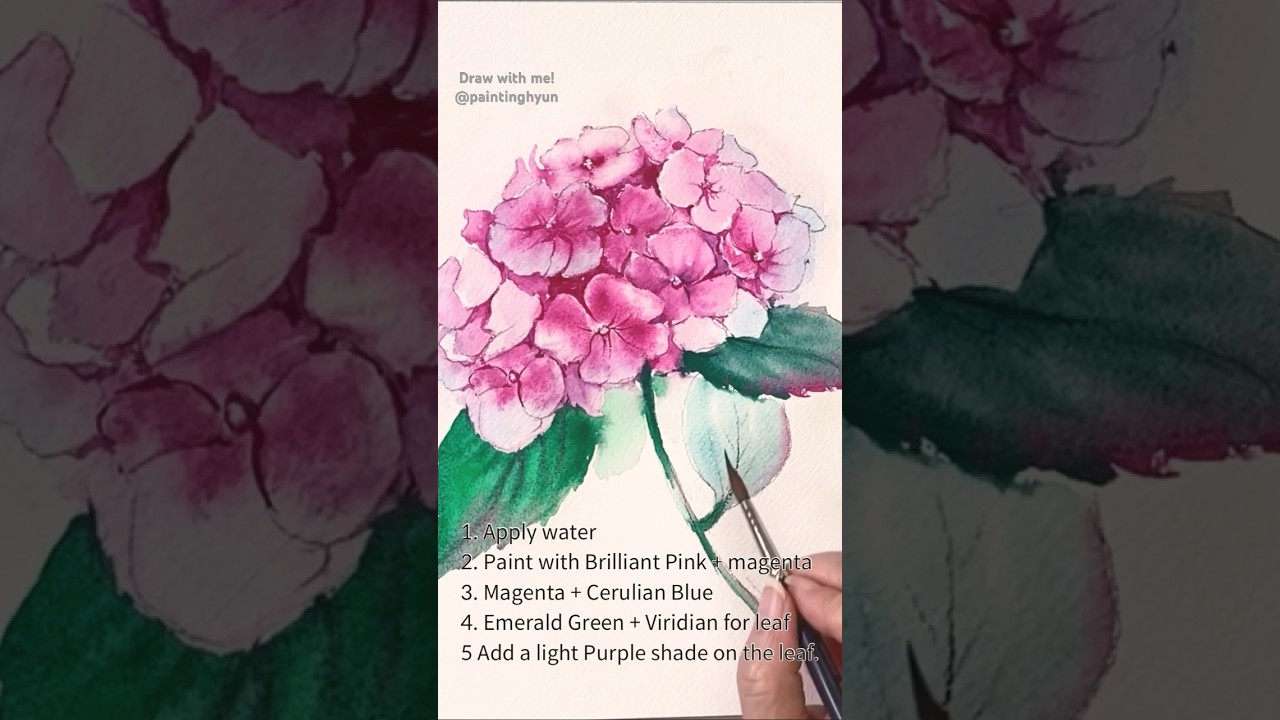 Draw with me! @paintinghyun Hydrangea!!#watercolor #watercolortutorial #art