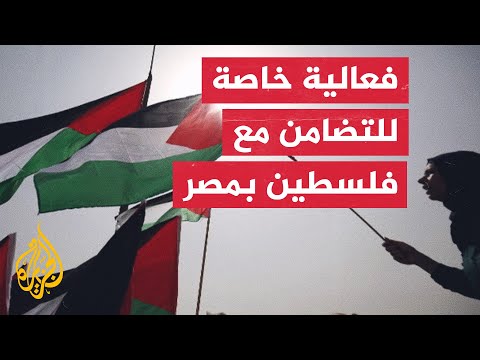 طلاب الجامعة الأمريكية في القاهرة يتظاهرون بأسلوبهم لدعم غزة
