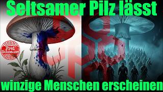 🍄 Ein seltsamer Pilz - Yunnans Pilz lässt dich winzige Menschen überall herumlungern sehen 🤯