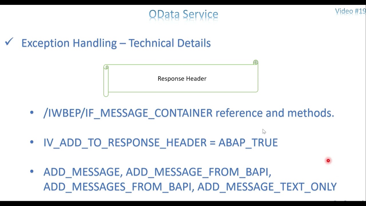 Video 19: OData Service - Exception handling