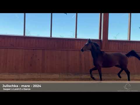 youtube preview