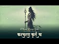 Lord SHIVA Is FORGIVING BLESSING You If You See THIS Shiva Mantra Karacharana Kritam Vaa