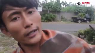 Download lagu 'AKU KUDU PIYE' ardian mp3