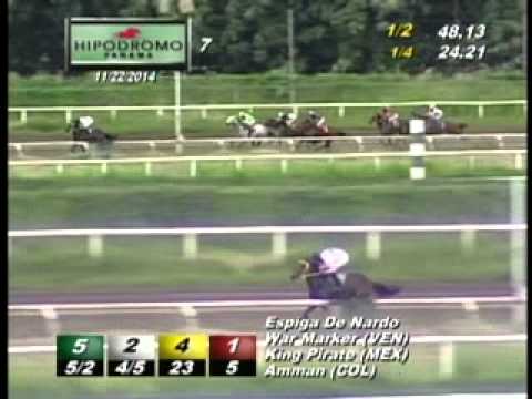 7MA CARRERA DEL SABADO 22 DE NOVIEMBRE 2014 HPR