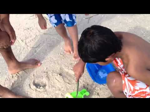 Aarav & Hari playing @beach