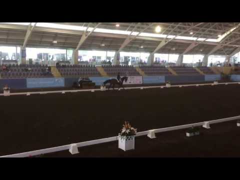 Grand Sam - Australian Dressage Champs 2016 Prix St George