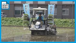 猛暑や強風に強いコメ ｢生産者にとってかなりメリットに｣ 安定したコメ作りのために開発 “清流のめぐみ”