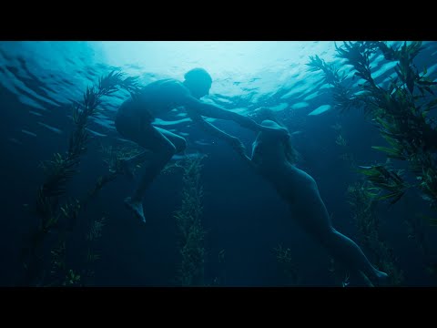Собаки не носять штанів (2019) | Офіційний український трейлер