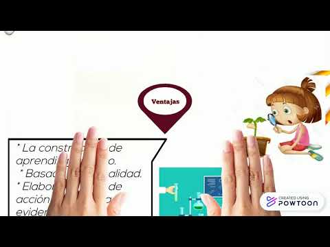 Estilo de Aprendizaje Pragmático