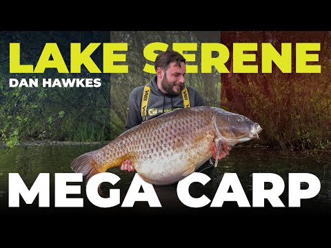 89lb COMMON CARP! Dan Hawkes Takes On The Notorious Lake Serene