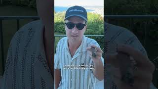 Andrew Taint on trans women and making money with memes