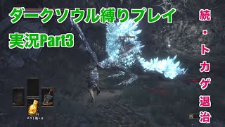 ダークソウル３縛りプレイ実況 | 低火力装備でトカゲを狩る・続【Part3】