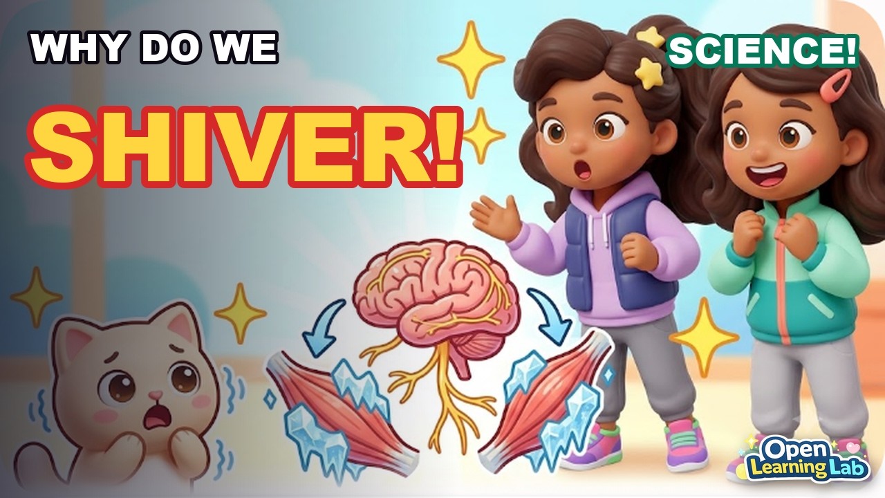 Why Do We Shiver? | Science for Kids