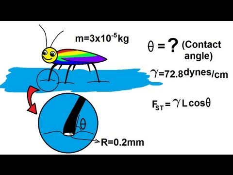 Physics 33 1 Surface Tension 1 of 12 What is Surface Tension