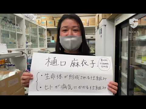 教育学科 【立教・理・生命】樋口麻衣子研究室