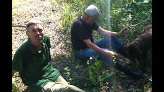 preview picture of video 'Riesen-Bärenklau Bekämpfungsaktion durch den NABU Osterode'