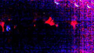 Margot &amp; The Nuclear So And So&#39;s - &quot;Claws Off&quot; - Circus - Columbus, OH - 9/22/10