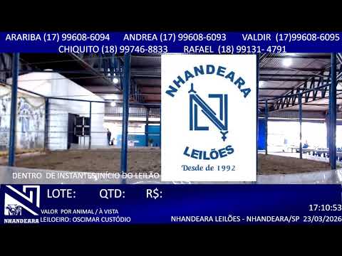 LEILÃO NHANDEARA LEILÕES- 23/03/2026 -NHANDEARA/SP  - AOVIVOBOI@GADOHOJE