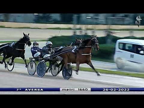 Aversa trotto 26 Febbraio 2022 - 7° Corsa