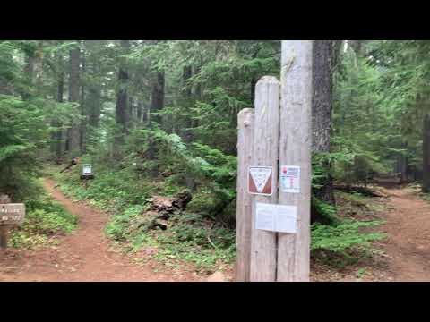 1/4 mile from site - entrance to Pacific Crest Trail