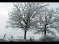 Radka Toneff - The Moon's a Harsh Mistress 嚴 ...
